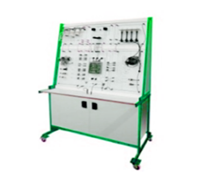 Gasoline Fuel Injection Control System with Auto Fault